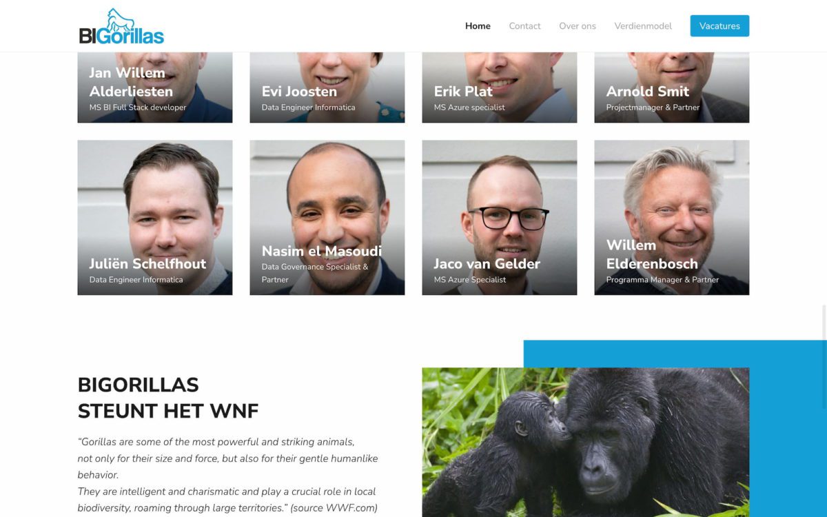 Screenshot BIGorillas team