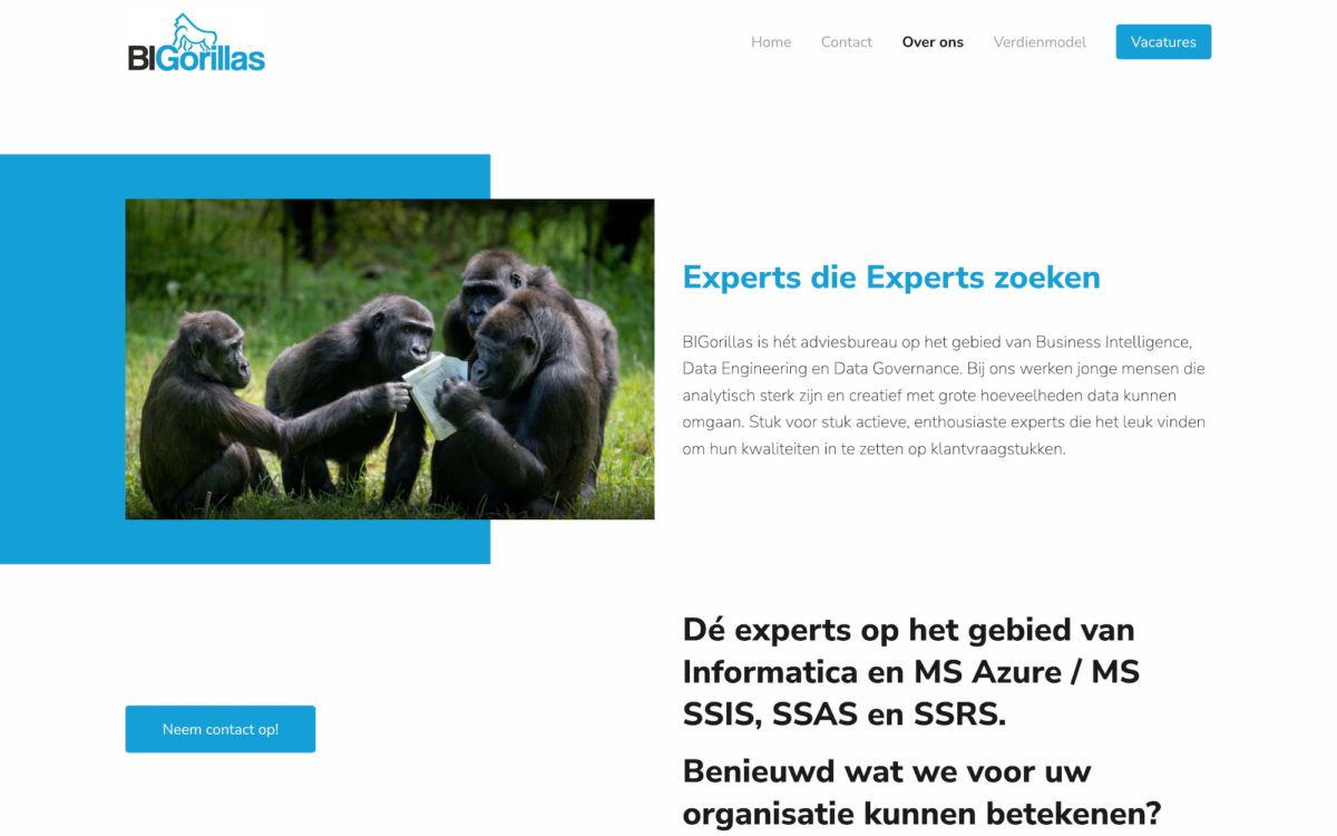 Screenshot BIGorillas Experts