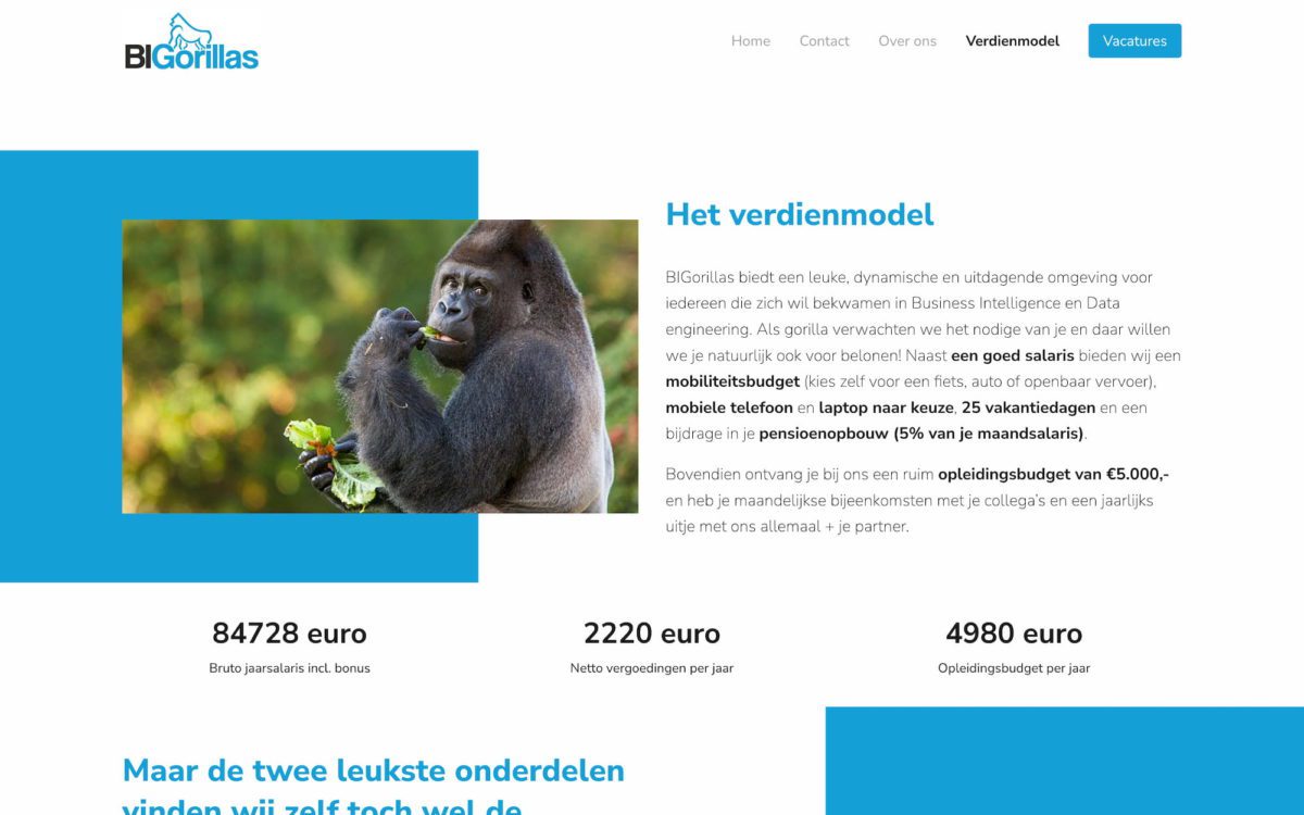 Screenshot BIGorillas verdienmodel
