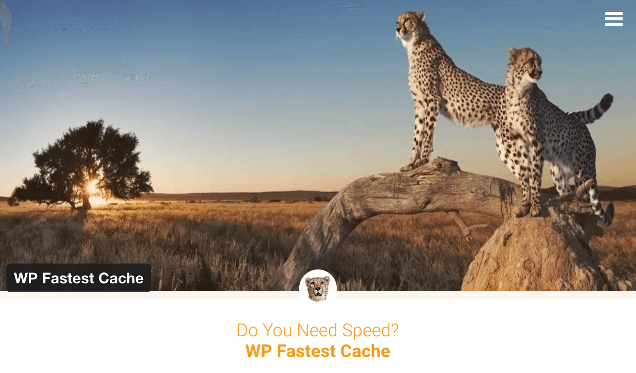 Website WP Fastest Cache