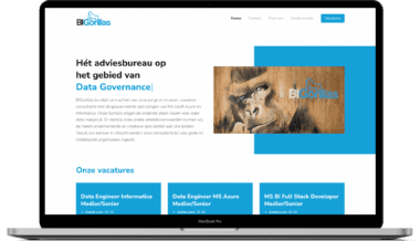 Screenshot BIGorillas