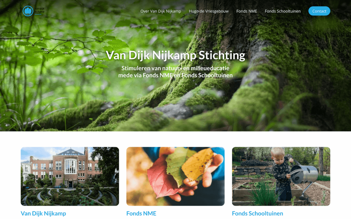 Screenshot Van Dijk Nijkamp Stichting voorpagina